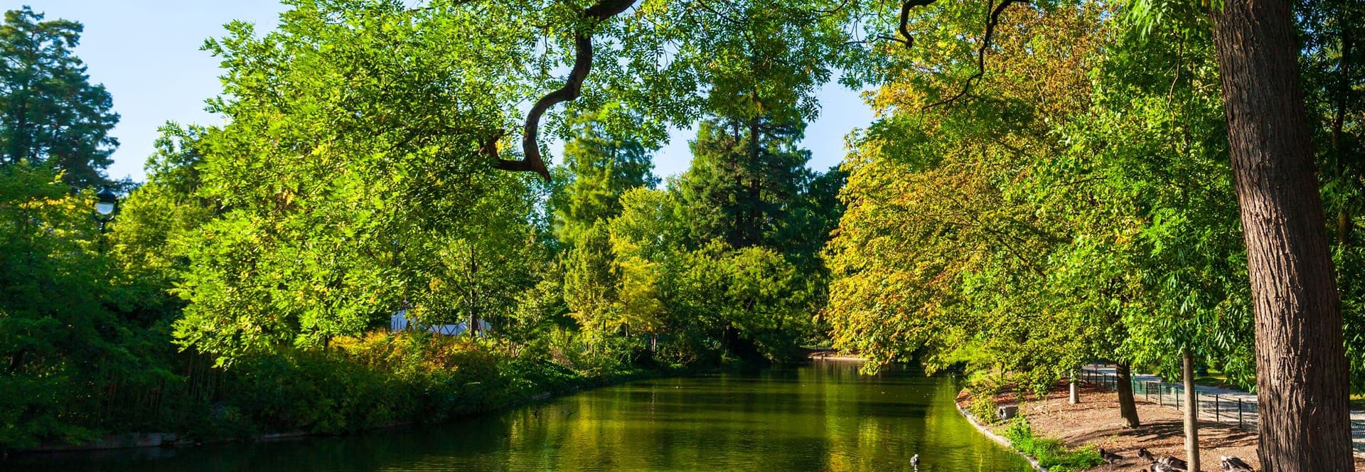 Le Jardin du Barry à Toulouse : le poumon vert de la Cartoucherie
