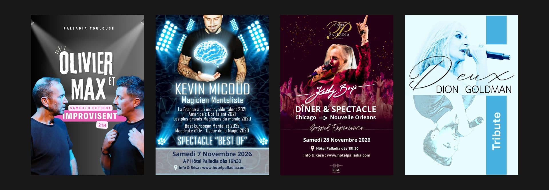 Going out in Toulouse: end-of-year shows at the Hôtel Palladia