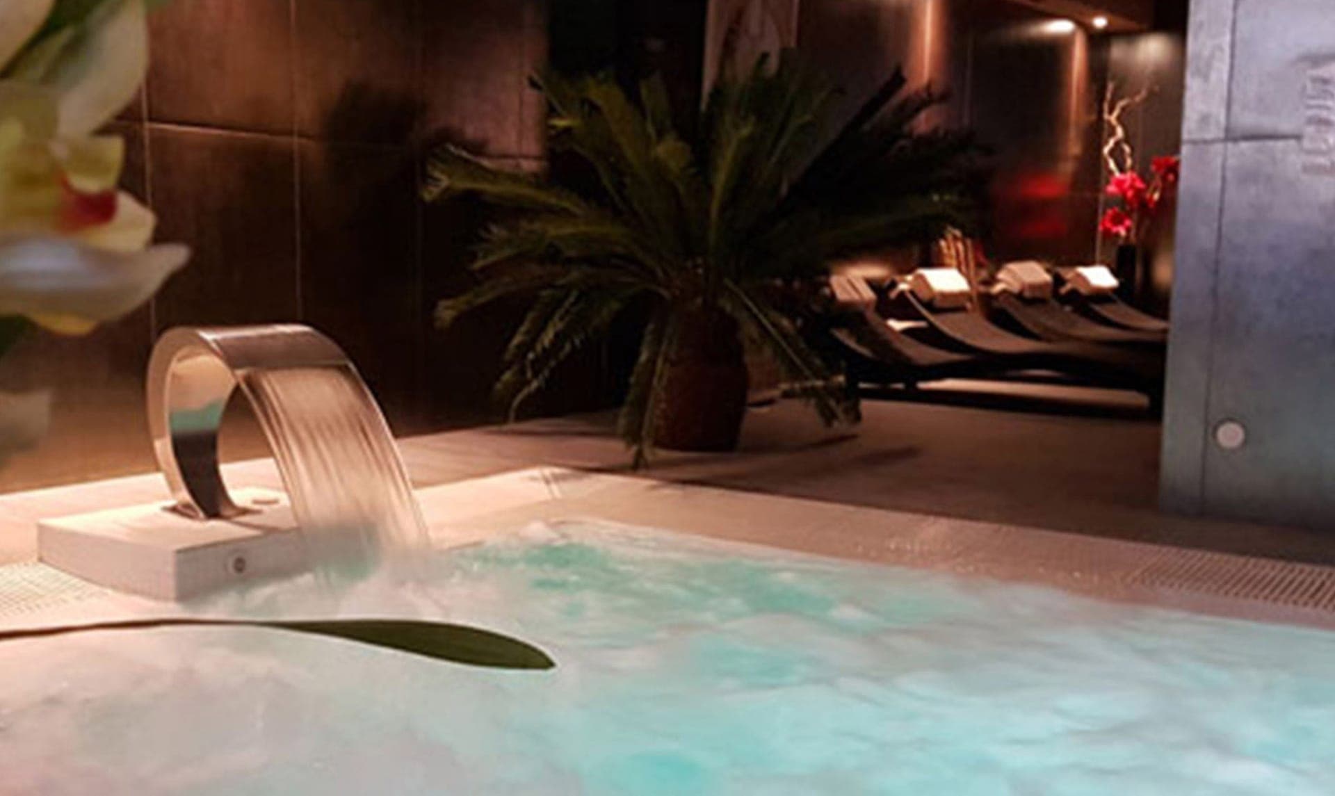 Wellness area and jacuzzi