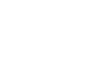 Logo blanc de l'Hôtel Palladia à Toulouse